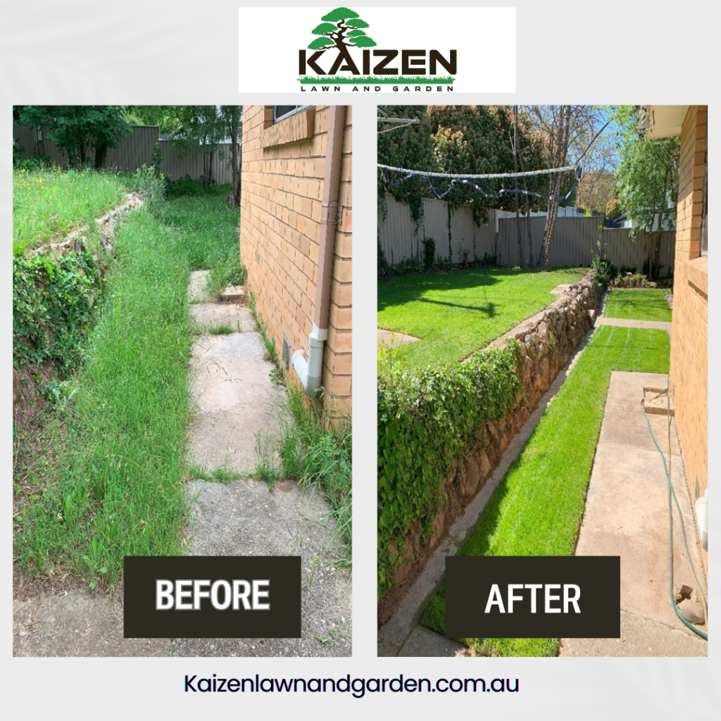 LAWN RESTORATION